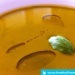 Low-Carb Pumpkin Soup with fitOil and Barley Grass Powder